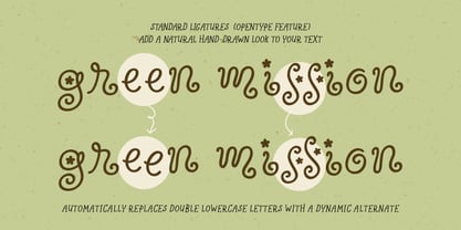 Wildflower Garden Font Poster 6