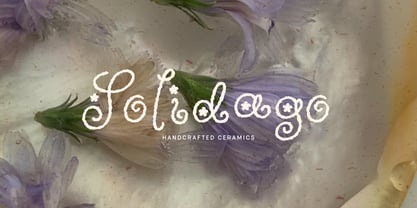 Wildflower Garden Font Poster 9