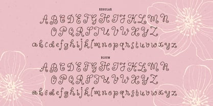 Wildflower Garden Font Poster 13