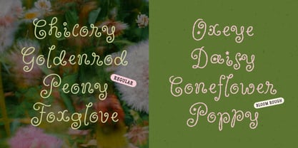 Wildflower Garden Font Poster 4