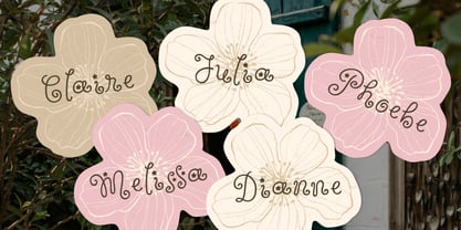 Wildflower Garden Font Poster 5