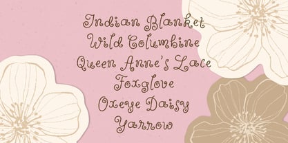 Wildflower Garden Font Poster 8