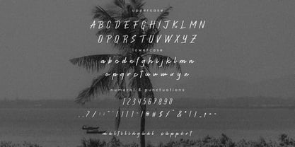 La Papela Font Poster 6