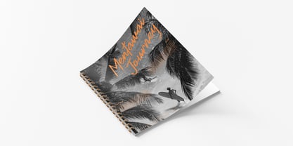 La Papela Font Poster 7
