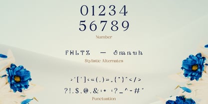 Fyorin Font Poster 3