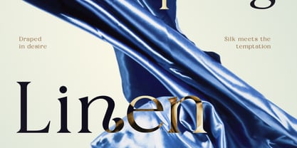 Fyorin Font Poster 9