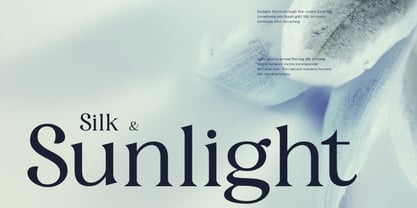 Fyorin Font Poster 8