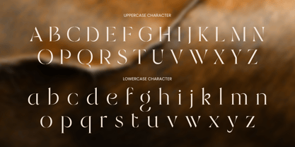 Bosed Font Poster 10