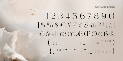 Bosed Font Poster 11