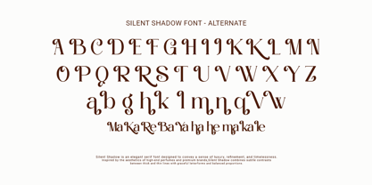 Silent Shadow Font Poster 5