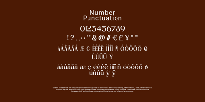 Silent Shadow Font Poster 6
