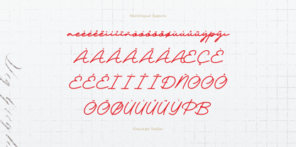 Nafolle Font Poster 11