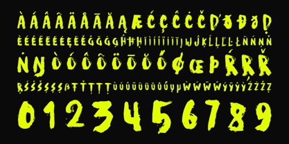Raw Voltage Font Poster 8
