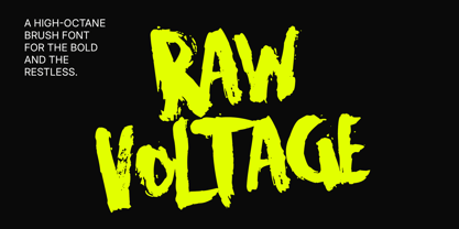 Raw Voltage Font Poster 1