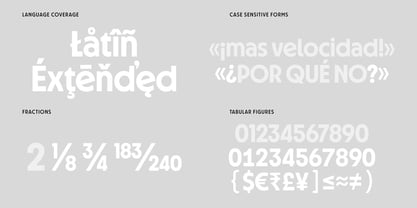 Disk Format Font Poster 12