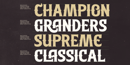 Southern Baseball Font Poster 8