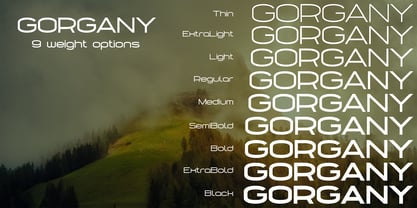 Gorgany Font Poster 3