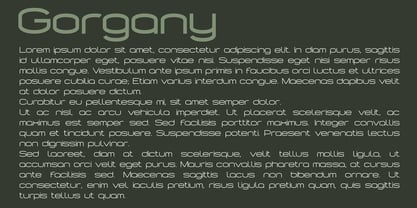 Gorgany Font Poster 7