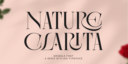 Grinola Font Poster 7