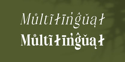 Mellino Font Poster 10