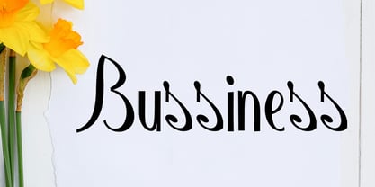 Special Handwritten Font Poster 2