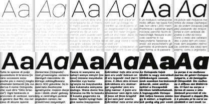 Nemorosa Variable Font Poster 6