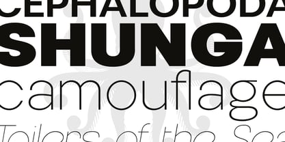 Nemorosa Variable Font Poster 3