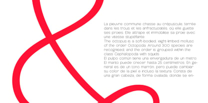 Nemorosa Variable Font Poster 5