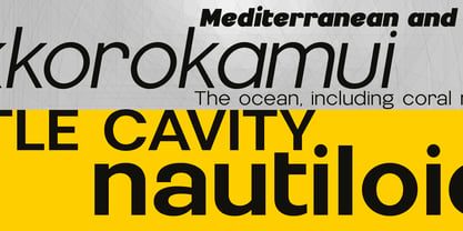 Nemorosa Variable Font Poster 7