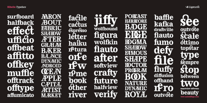 Ribelle Variable Font Poster 8