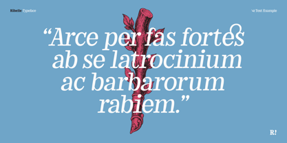 Ribelle Variable Font Poster 2