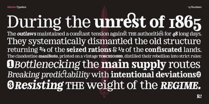 Ribelle Variable Font Poster 7