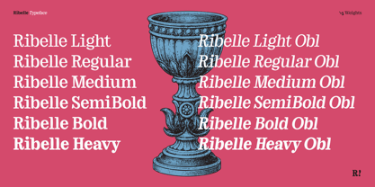 Ribelle Variable Font Poster 5