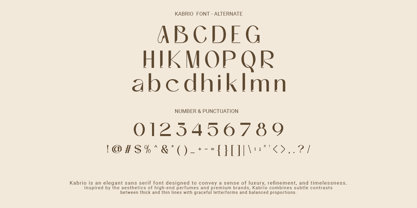 Kabrio Font Poster 5