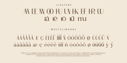 Kabrio Font Poster 3