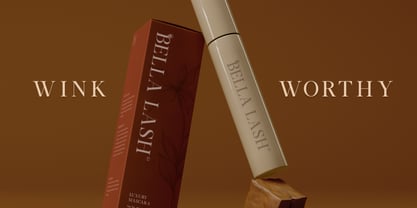 Bornatte Font Poster 9