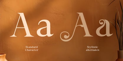 Bornatte Font Poster 7