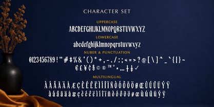 Lazyrich Font Poster 3