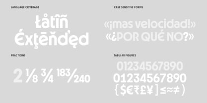 Disk Font Poster 15