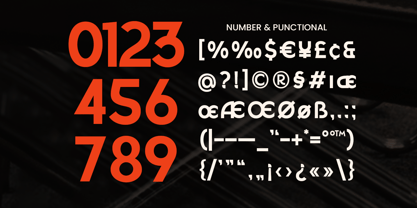Crista Sans Font Poster 11