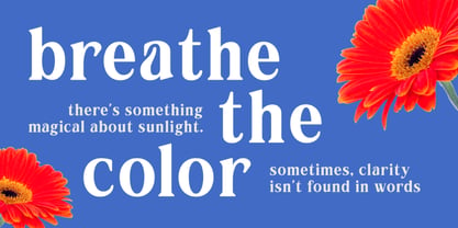 Locanara Font Poster 5