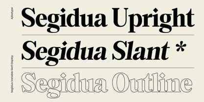 Segidua Font Poster 4