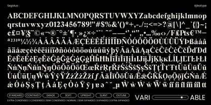 Segidua Font Poster 15
