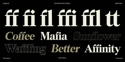 Segidua Font Poster 14