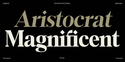 Segidua Font Poster 7