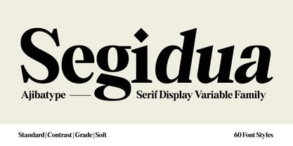 Segidua Font Poster 1