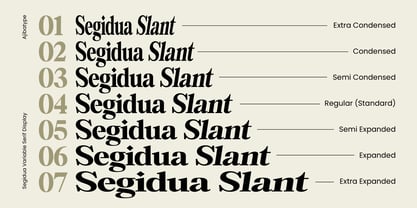 Segidua Font Poster 13