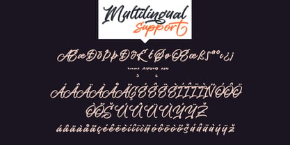 Vibe Shift Font Poster 10
