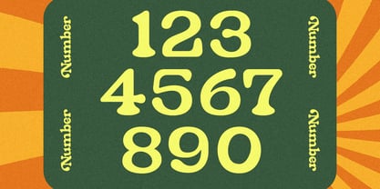 Norack Sekaliye Font Poster 12