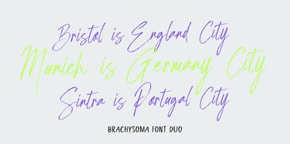 BrachysOma Font Poster 6